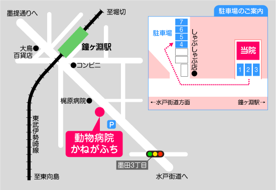 動物病院かねがふち 地図