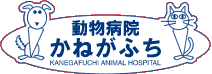 動物病院かねがふち